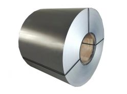 Galvanized Iron Sheet in Coil