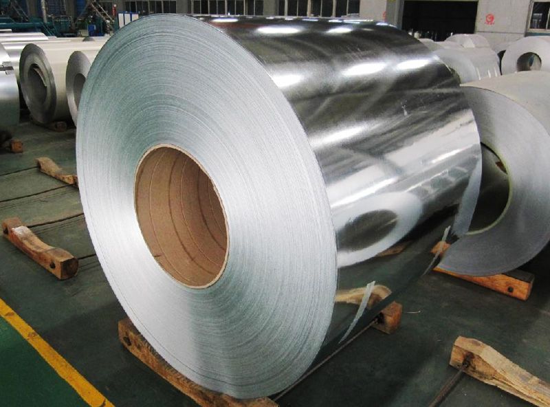 Galvanized Iron Sheet in Coil